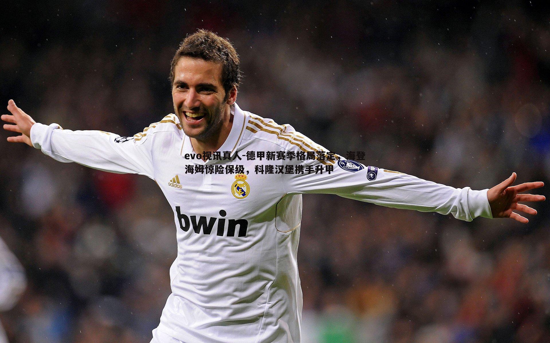 德甲新赛季格局落定，海登海姆惊险保级，科隆汉堡携手升甲